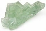 Green Cubic Fluorite Crystals with Phantoms - China #216300-1